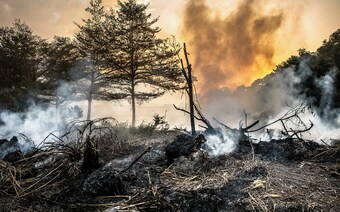 Оценка ущерба после стихийного бедствия в Нижнем Тагиле: отчет оценщика